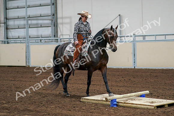 2020 - AB Morgan Horse - Fri, Sept 04 - 00311