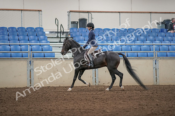 2019 Morgan Horse Show - Aug 31, 2019 - 04890