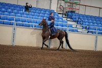 2020 - AB Morgan Horse - Fri, Sept 04 - 03637