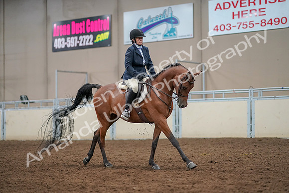 2019 Morgan Horse Show - Aug 30, 2019 - 22540