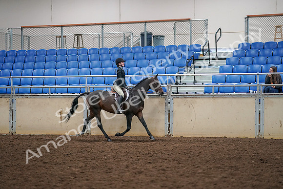 2019 Morgan Horse Show - Aug 30, 2019 - 12419