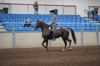 2019 Morgan Horse Show - Sept 01, 2019 - 06223