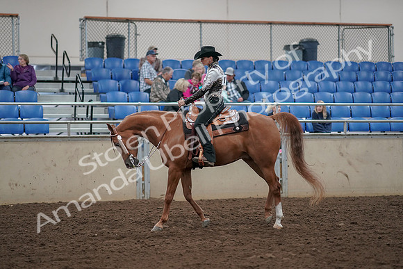 2019 Morgan Horse Show - Aug 30, 2019 - 26099
