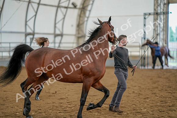 July 19, 2019 - 965