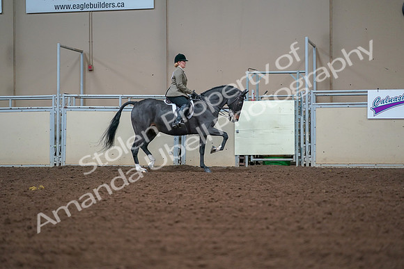 2019 Morgan Horse Show - Aug 30, 2019 - 20722