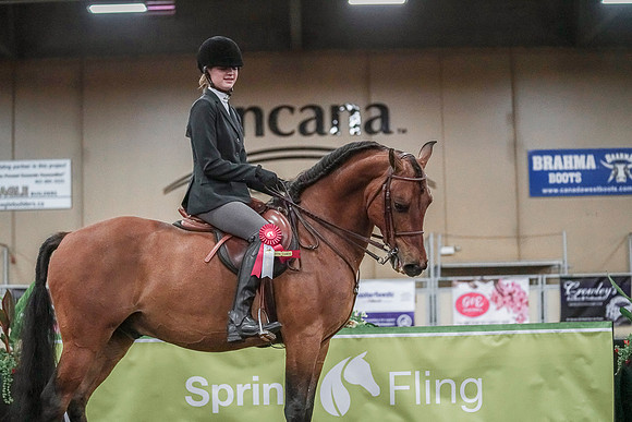 Spring Fling - Saturday - April 20, 2019  -  03858