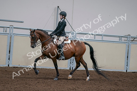 2020 - AB Morgan Horse - Fri, Sept 04 - 05932