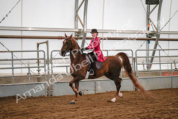 July 19, 2019 - 8719