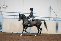 2020 - AB Morgan Horse - Sat, Sept 05 - 09070