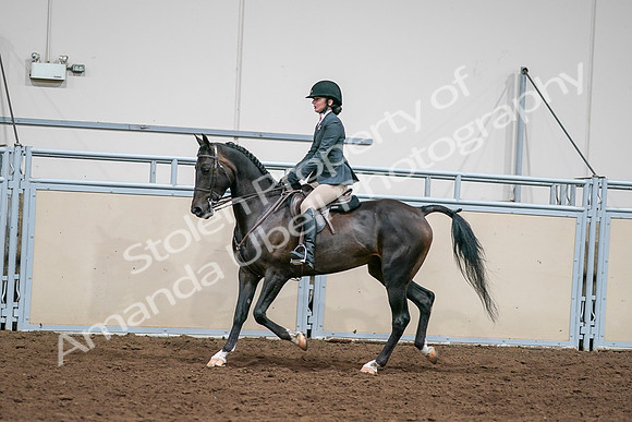 2020 - AB Morgan Horse - Sat, Sept 05 - 09070