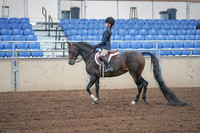 2019 Morgan Horse Show - Sept 01, 2019 - 05477