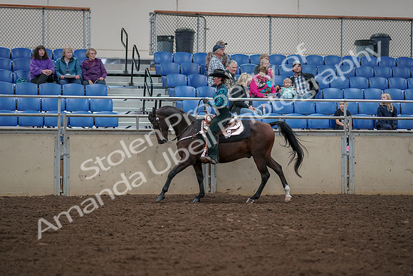 2019 Morgan Horse Show - Aug 30, 2019 - 26056