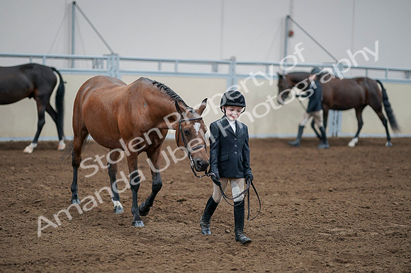 2020 - AB Morgan Horse - Fri, Sept 04 - 00831