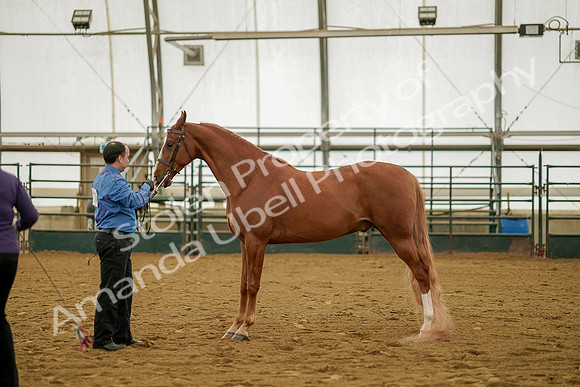 July 19, 2019 - 911