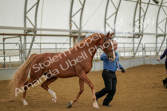 July 19, 2019 - 899