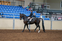 2020 - AB Morgan Horse - Fri, Sept 04 - 01995