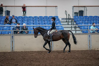 2019 Morgan Horse Show - Aug 31, 2019 - 08046