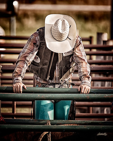 rodeo - 045