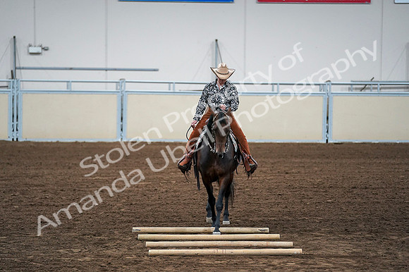 2020 - AB Morgan Horse - Fri, Sept 04 - 00433