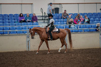 2019 Morgan Horse Show - Aug 30, 2019 - 25866
