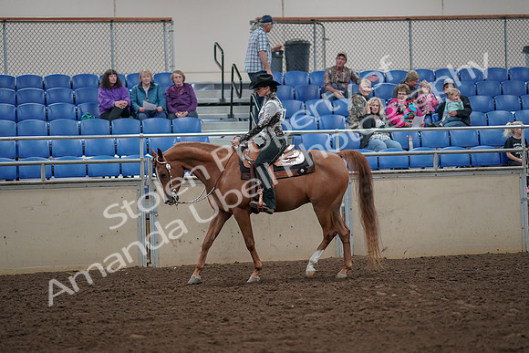 2019 Morgan Horse Show - Aug 30, 2019 - 25866