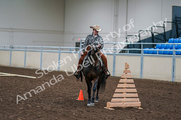 2020 - AB Morgan Horse - Fri, Sept 04 - 00380