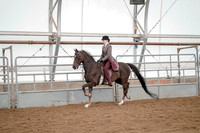 Class 070 - All Breed English Pleasure - Junior-Limit Horse