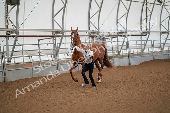 July 19, 2019 - 58