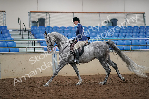 2019 Morgan Horse Show - Aug 30, 2019 - 22348