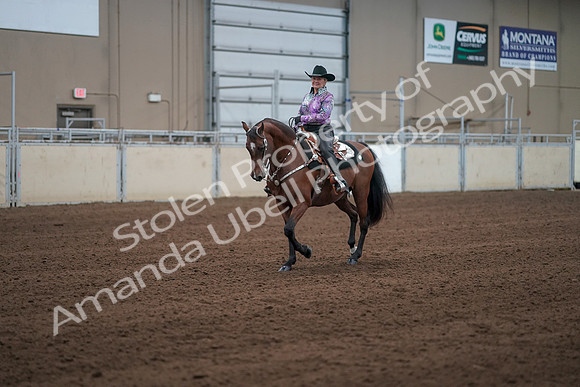 2019 Morgan Horse Show - Sept 01, 2019 - 07201