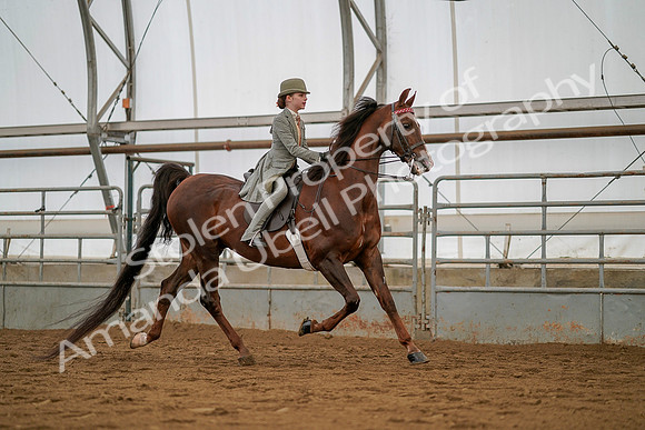July 19, 2019 - 4119