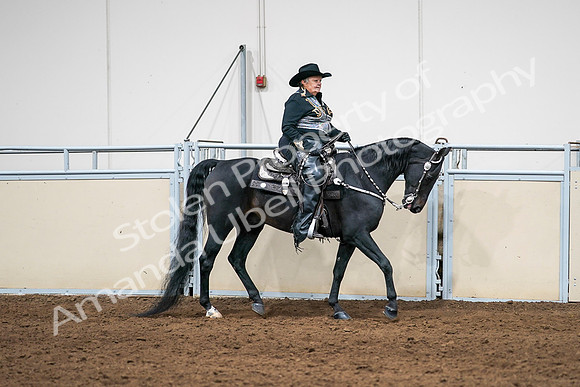 2020 - AB Morgan Horse - Sat, Sept 05 - 08944