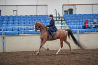 2019 Morgan Horse Show - Aug 31, 2019 - 16900
