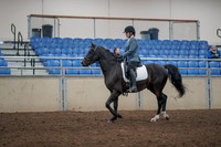 2019 Morgan Horse Show - Aug 31, 2019 - 07157