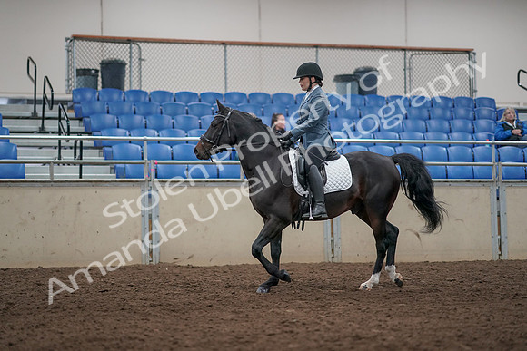 2019 Morgan Horse Show - Aug 31, 2019 - 07157
