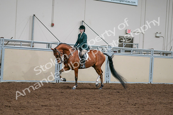 2020 - AB Morgan Horse - Sat, Sept 05 - 05010