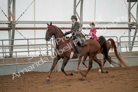 July 20, 2019 - 02205