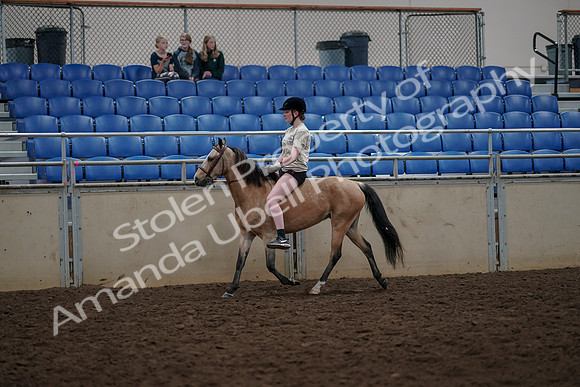 2019 Morgan Horse Show - Aug 30, 2019 - 31059