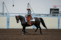 2020 - AB Morgan Horse - Fri, Sept 04 - 00405