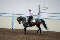 2020 - AB Morgan Horse - Fri, Sept 04 - 00546