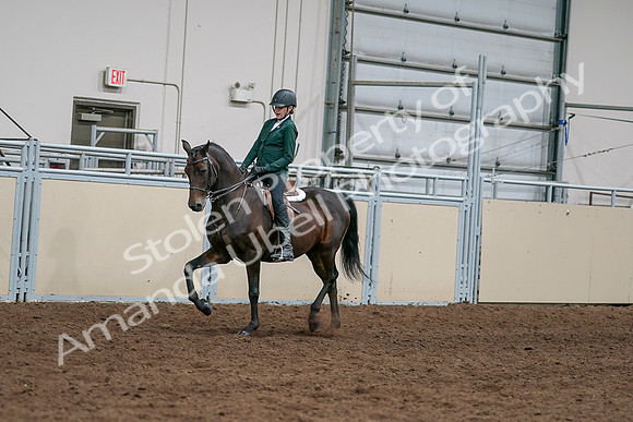 2020 - AB Morgan Horse - Sat, Sept 05 - 05027