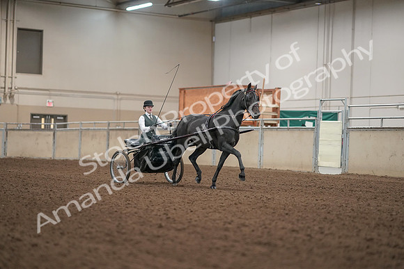 2019 Morgan Horse Show - Aug 31, 2019 - 04741
