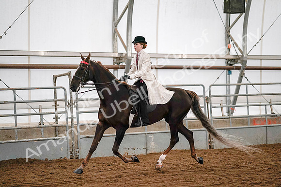 July 19, 2019 - 8982