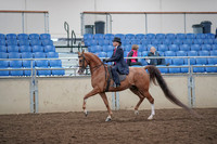 2019 Morgan Horse Show - Aug 31, 2019 - 16891
