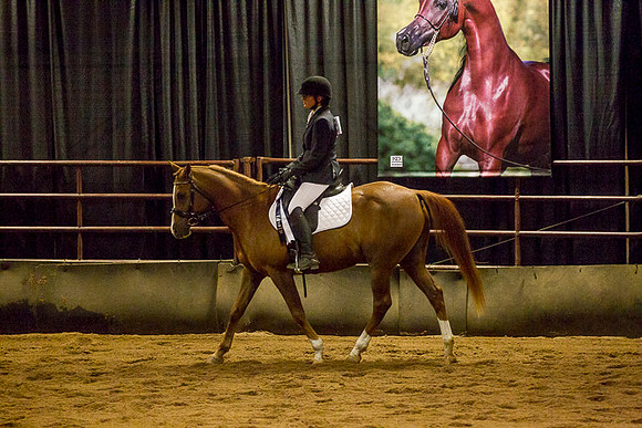 _P3A2015