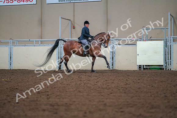 2019 Morgan Horse Show - Aug 30, 2019 - 20981