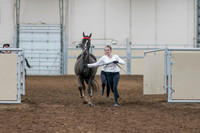 2020 - AB Morgan Horse - Sat, Sept 05 - 00629