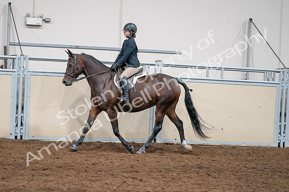 2020 - AB Morgan Horse - Sat, Sept 05 - 04972