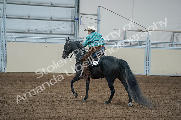 2020 - AB Morgan Horse - Fri, Sept 04 - 00619