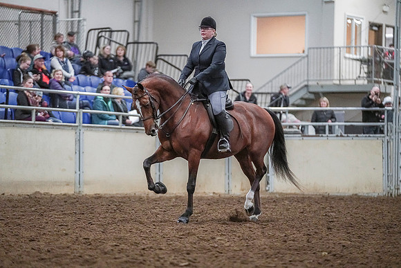 Spring Fling - Saturday - April 20, 2019  -  03738